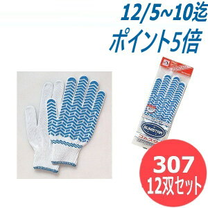 ӂ SX^[ijpj VRS@Xx~t yƎ 12oZbg 307