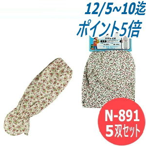 ӂ rJo[bt ԕ 5oZbg ߗ@ی N-891