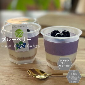 グルテンフリー ヴィーガン「 ブルーベリーRAWCUPケーキ 」小麦粉・卵・乳製品・動物性食品不使用 アレルギー対応 ダイエット スイーツ