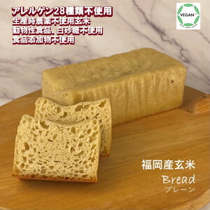グルテンフリー ヴィーガン「 玄米パン(プレーン)1本 」九州産玄米100% 生産時農薬不使用 小麦粉 卵 乳製品 動物性食品、アレルゲン28品目不使用 食品添加物不使用 食パン