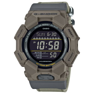 yő2000~N[|11/1JnzG-SHOCK 10YEAR BATTERY series GD-010CE-5JF CASIO JVI