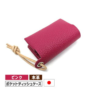 �|�P�b�g�e�B�b�V���P�[�X DG-16 �{�v ���{�� �s���N/����V���o�[ ODMDG16-PK-SV luminio ���~�j�[�I