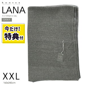 y12/1JnIő2000~N[|zyTti1980~jzQ |zc kontex RebNX [i LANA ^IPbg XXL 160x240cm GY O[ Rbg100  100 {  36202-007