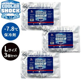 【在庫あり】COOLER SHOCK クーラーショック Cooler Shock Large 3pcs セット アウトドア 保冷剤 保冷 3個セット Lサイズ 繰り返し使用可能 省スペース 長持ち クーラーボックス 0854850006121