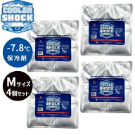 【在庫あり】COOLER SHOCK クーラーショック Cooler Shock Medium 4pcs セット 保冷剤 保冷 アウトドア 4…