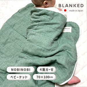 |zc K[[Pbg K[[ uPbg n[t 4dD O[  n ėp 70x100cm Rbg100% { Y xr[ Ԃ xr[Q q O͖ؖ ̂т̂ B7451 BLANKED uPb