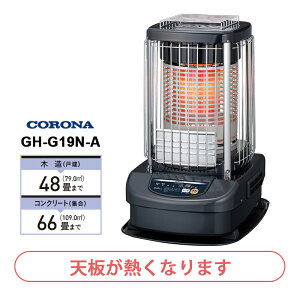 j[u[o[i(Ɩp) RΗ^Cv GH-G19N-A CORONA Ri