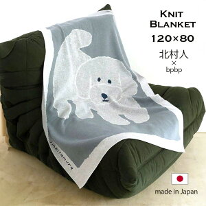 yő2000~N[|11/1Jnzkl uPbg   O[ 120x80 {  DOG hbO  Ck jbg X[Pbg \t@Jo[ xbhX[ fUC A[g BP-JK-BLANKET1