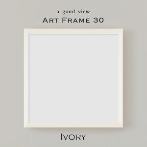 z t[ A[gt[ 30 IV AC{[ 30x30cm ` VR pC PET 580g { 4518156809553 a good view A Obh r[ 邾łxAbv