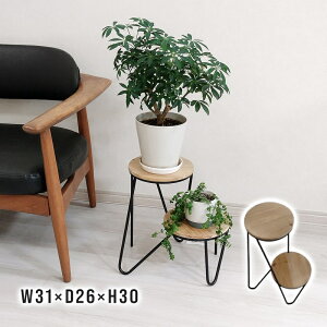 y12/1JnIő2000~N[|zt[X^h _utA ACA Ebh ؐ v^[X^h ~` O  |pi K[fjO 7527 MURATAYA ACA u X^h