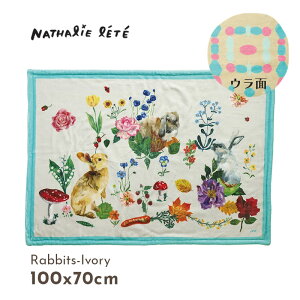 yi^[e 2_őz i^[e _uC[ uPbg 2d rbg  Rabbits AC{[ 2킹 {^jJ ̂  ʕ 킢 |bv 100x70cm 511263 