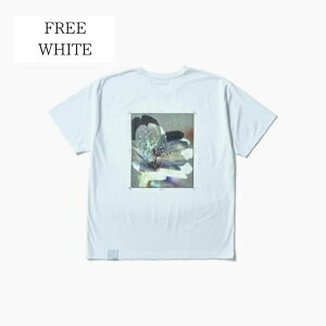 &MOSS DRY TOUCH BACKPRINT T-SHIRTS AhX hC ^b` obN vg TVc