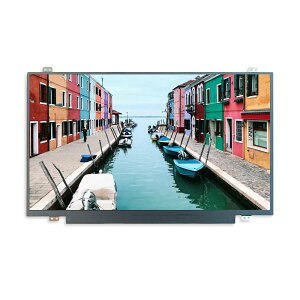 �T���e�b�N�@TFT LCD���W���[���@14�C���`�@1920 x 1080�@IPS�@ST1400A1-RSLW-C