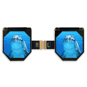 �T���e�b�N�@���p�`TFT LCD���W���[���@2.56�C���`�@2160 x 2160�@VR/AR�S�[�O���p�@ST0256A2W-RSMLW-C