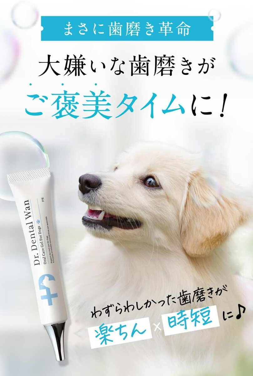 楽天市場】【公式】ドクターデンタルワン 犬 歯磨き 歯磨きジェル