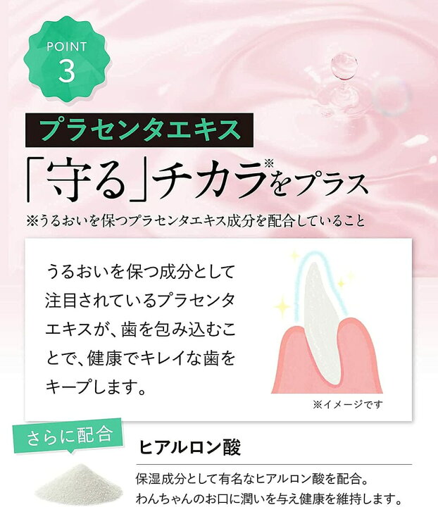 楽天市場】ドクターデンタルワン 30g 1ヶ月分 犬 歯磨き 歯磨きジェル  