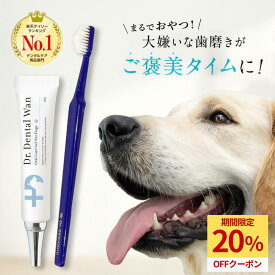 【本日限定★20%OFF】 ドクターデンタルワン ドクタースゴオチセット 犬 歯磨き 歯磨きジェル はみがき 歯石 犬口ケア 歯ブラシ 小型犬 愛犬歯磨き 愛犬デンタルケア 簡単 はみがき 歯垢 自然由来 30g 1ヶ月