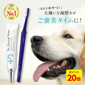 【★P20倍＋10％OFFクーポン】【★セット購入がお得！】ドクターデンタルワン ドクタースゴオチセット 犬 歯磨き 歯磨きジェル はみがき 歯石 犬口ケア 歯ブラシ 小型犬 愛犬歯磨き 愛犬デンタルケア 簡単 はみがき 歯垢 自然由来 30g 1ヶ月