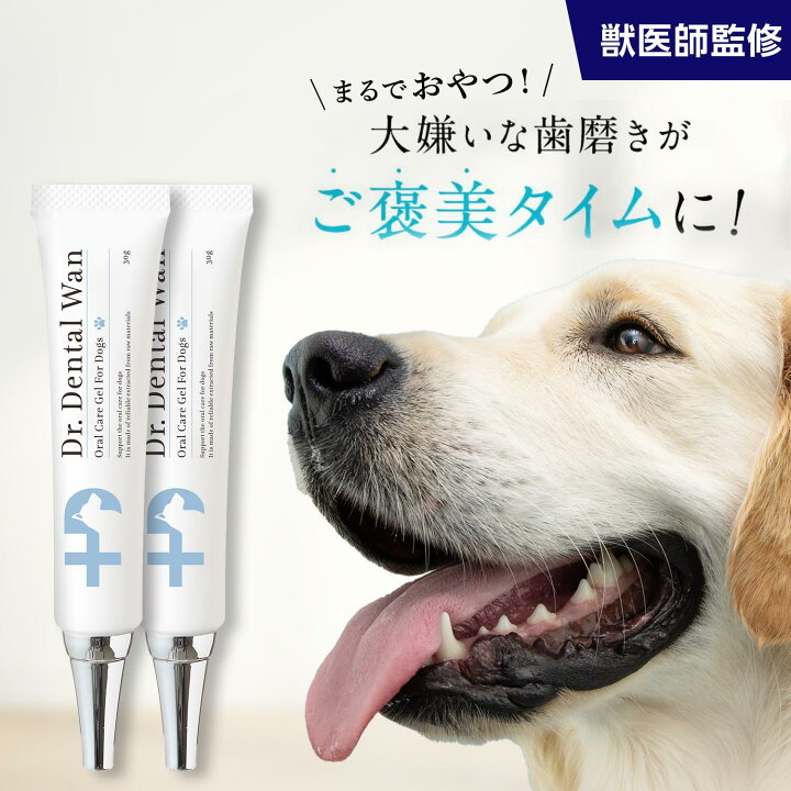 楽天市場】ドクターデンタルワン 30g 1ヶ月分 犬 歯磨き 歯磨きジェル 