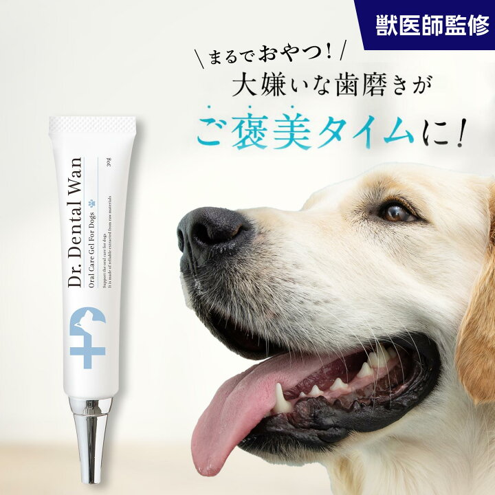楽天市場】ドクターデンタルワン 30g 1ヶ月分 犬 歯磨き 歯磨きジェル 
