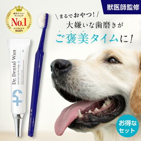 【★セット購入がお得！】ドクターデンタルワン ドクタースゴオチセット 犬 歯磨き 歯磨きジェル はみがき 歯石 犬口ケア 歯ブラシ 小型犬 愛犬歯磨き 愛犬デンタルケア 簡単 はみがき 歯垢 自然由来 30g 1ヶ月