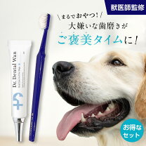 楽天市場】ドクター デンタル ワンの通販