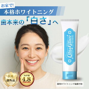 y]4.88z zCgjO  WF zCgjO V[g ŋ 򕔊Oi      𔒂 ؍ LPA z[zCgjO h Lily&G