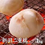 【もち米】京都丹後産新羽二重糯白米1kg　令和7年産