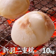 【もち米】京都丹後産 新羽二重糯 白米10kg　令和8年産