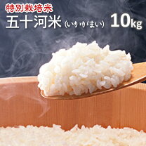 楽天市場】丹後 コシヒカリ 10kgの通販
