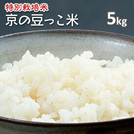 令和5年産!!【特別栽培米】京都丹後豆っこコシヒカリ白米5kg（5年産）