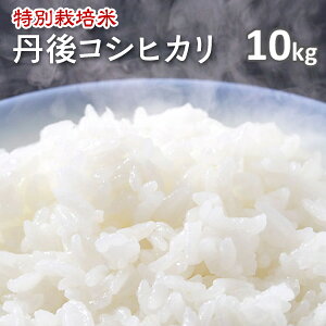 新米!!令和7年産【特別栽培米】京都丹後コシヒカリ白米10kg(7年産)