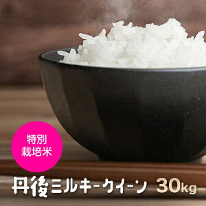 �ߘa7�N�Y�y���ʍ͔|�āz���s�O��~���L�[�N�C�[������30kg�i7�N�Y�j