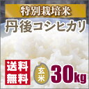 【特別栽培米】新米　京都丹後コシヒカリ玄米30kg（28年産） ランキングお取り寄せ