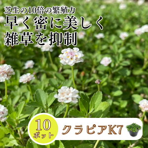 �N���s�A K7 10�|�b�g �c 9cm�|�b�g �O�����h�J�o�[ �v�����c �� �C���_���\�E���ǎ� ���� �Ή� �ϊ��� ���N�� �K�[�f�j���O �G���΍� �G���}�� ������ �ɐB�� �ԕc �A�� �v�����c �y�� ���� �K