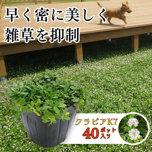 �_P3�{�@4/15�܂Ł^�y�엿50g�v���[���g�z�N���s�A K7 k7 40�|�b�g �c 9cm�|�b�g �O�����h�J�o�[ �v�����c �� �C���_���\�E���ǎ� �Ή� �ϊ��� ���N�� �K�[�f�j���O �G���΍� �G���}�� �ɐB�� ��