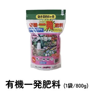 L@ꔭ엿 800g NsA 엿  ǔ y  K[fjO ԗp |