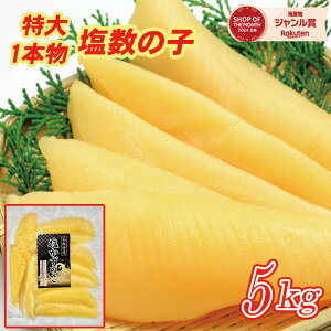 yVzTCY̎q5kgE1{i1{50gupj