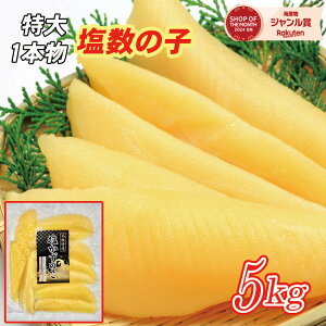 咴TCY̎q5kgE1{i1{50gupj①ւ͉Es