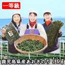 【グラム単価最安値挑戦！】あおさ海苔1kg　有明産　【沖縄・離島別途2,000円】※【全国送料無料／のり／海苔／味噌汁…