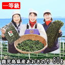 【グラム単価最安値挑戦！】あおさ海苔80g　有明産　全国送料無料　ネコポス専用商品