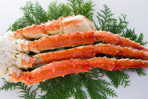 ^oKj800gyzꗣsłE{C^o@΁@I@Jj@Ɂ@΂