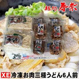 讃岐うどん 冷凍 肉うどん かしわ 牛すじ 煮込み 6人前 【XE】送料無料 お試し さぬきうどん お取り寄せグルメ ギフト のし 心ばかり 御礼 内祝い お誕生日 喜寿 お慶び 結婚祝 お見舞い 粗品 食品備蓄 差し入れ