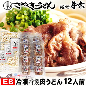 お歳暮 特割 早割 早期ご予約 SALE 年末年始 ご挨拶 讃岐うどん 冷凍 肉うどん 12人前【EB】送料無料 お試し さぬきうどん お取り寄せグルメ ギフト のし 心ばかり 御礼 内祝い お誕生日 プレゼ