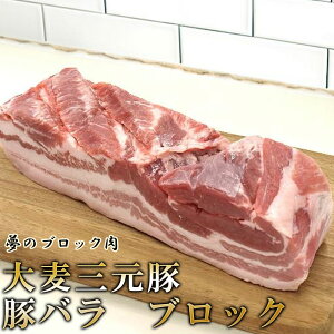 Ji_Y ؓ@oubN@500g`i唞O؎gpj ؓ Ԃ uh  _炩 gJc Ƃ񂩂 \e[ IĂ 傤Ă ܂    RXp 