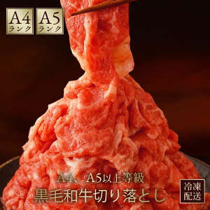 Ԍ60ItI JɐElIʂ A4 A5Yјa ؂藎Ƃ 500g   yY  ؂藎Ƃ 1kg  Y  Ԑg  ֗ _炩 Ⴊ  Ⓚ 󂠂 A