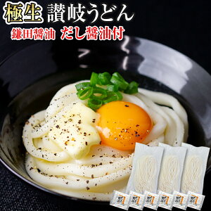 ぽっきり1000円 【本場 生麺 讃岐うどん 並切麺 750g だし醤油付】 鎌田醤油のだし醤油付きセット 6人前 香川直送