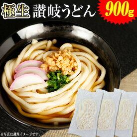 当日出荷(17時頃迄)【生麺 讃岐うどん 並切麺】 6人前～9人前(小盛) 本場 香川県直送 送料無料 1000円【Aセット：麺のみ900g】【Bセット：つゆ付】【Cセットだし：醤油付き】【Dセット：麺のみ1kg】うどん 鎌田醤油 うどんつゆ だし醤油 1000円ぽっきり