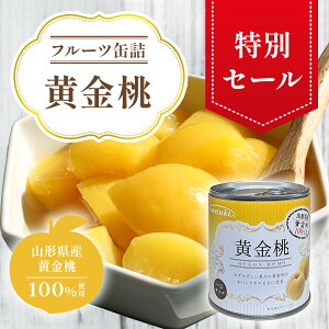 yʃZ[zʋl EO5@    s[` R` R`Y Y Yt[c ʋl t[cʋl ʕ    ʕʋl W[V[ ЂƂTCY  