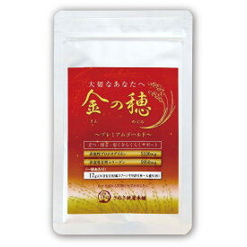 膝　ひざ　腰　膝関節　辛い　階段　極　プロテオグリカン　非変性　2型コラーゲン　サプリメント　グルコサミン　コラーゲン　軟骨　コンドロイチン　ヒアルロン酸　アセチルグルコサミン　変形性膝関節症　60日分　粉末